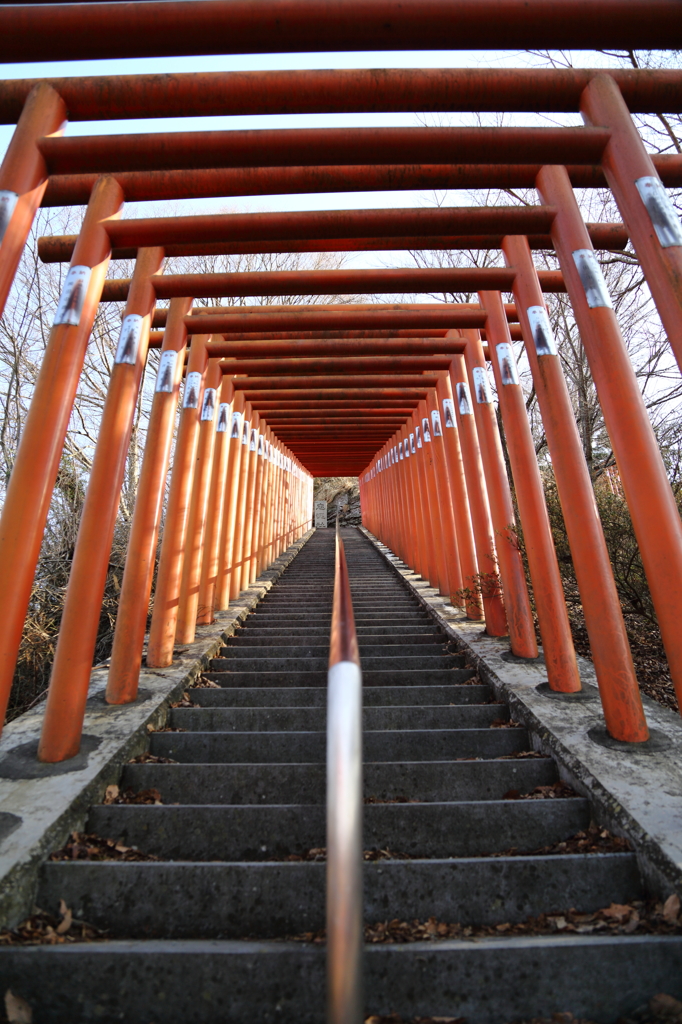 鳥居階段
