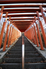 鳥居階段