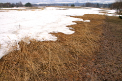 雪解け２