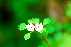 小川のほとりで