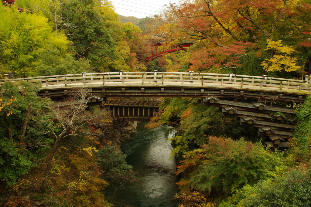 奇橋