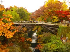 奇橋