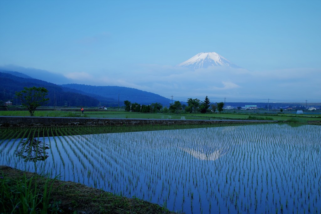 忍野田園