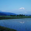 忍野田園