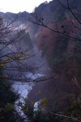 霧の渓谷