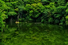 笹川湖