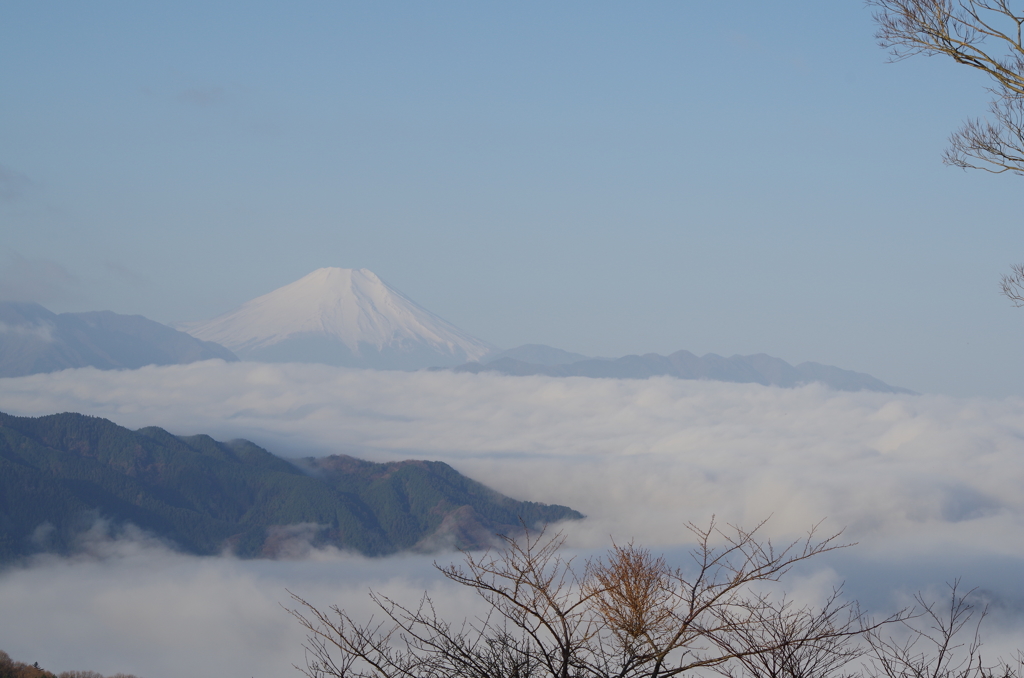 高尾山より