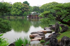 雨の清澄庭園