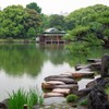 雨の清澄庭園