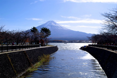 富士散歩
