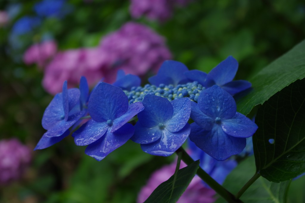 小雨の公園にて