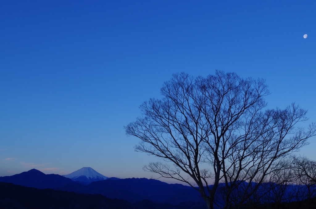 碧い朝