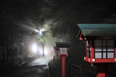 ナイトハイク