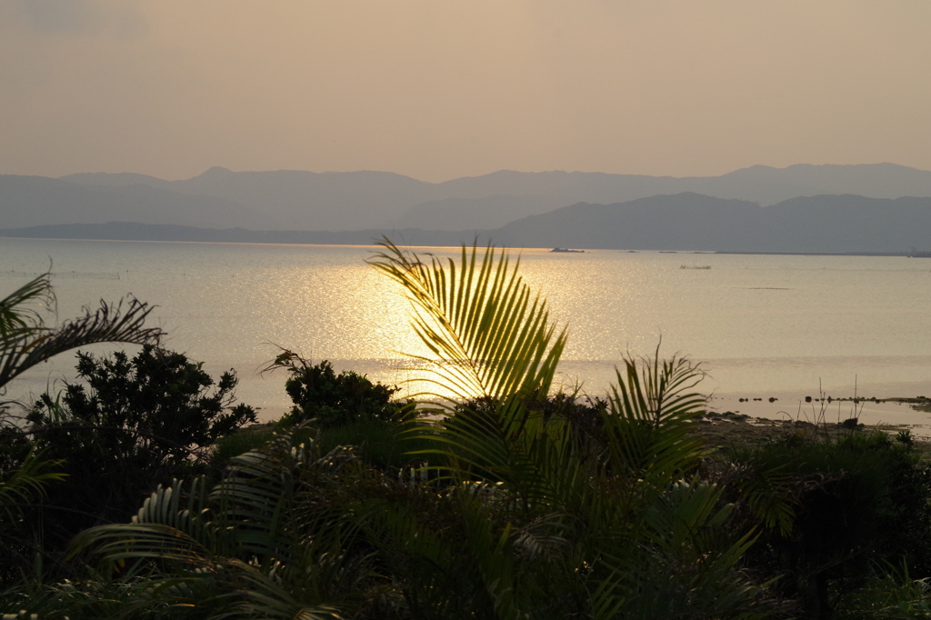 小浜島の夕暮れ