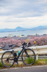 cervelo × 山中越えの桜 × 琵琶湖