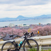 cervelo × 山中越えの桜 × 琵琶湖