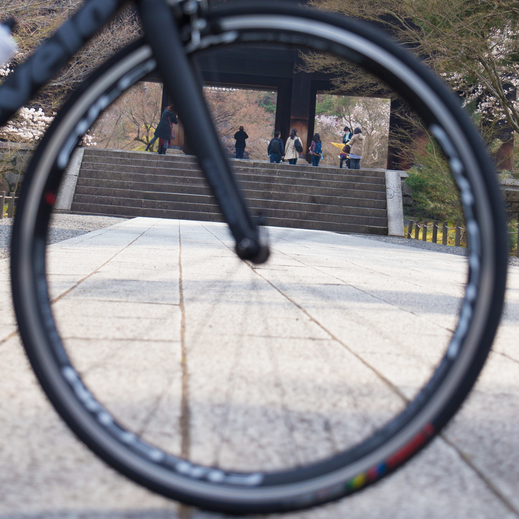 cervelo × 南禅寺