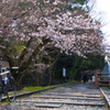 cervelo × 桜 × 蹴上インクライン