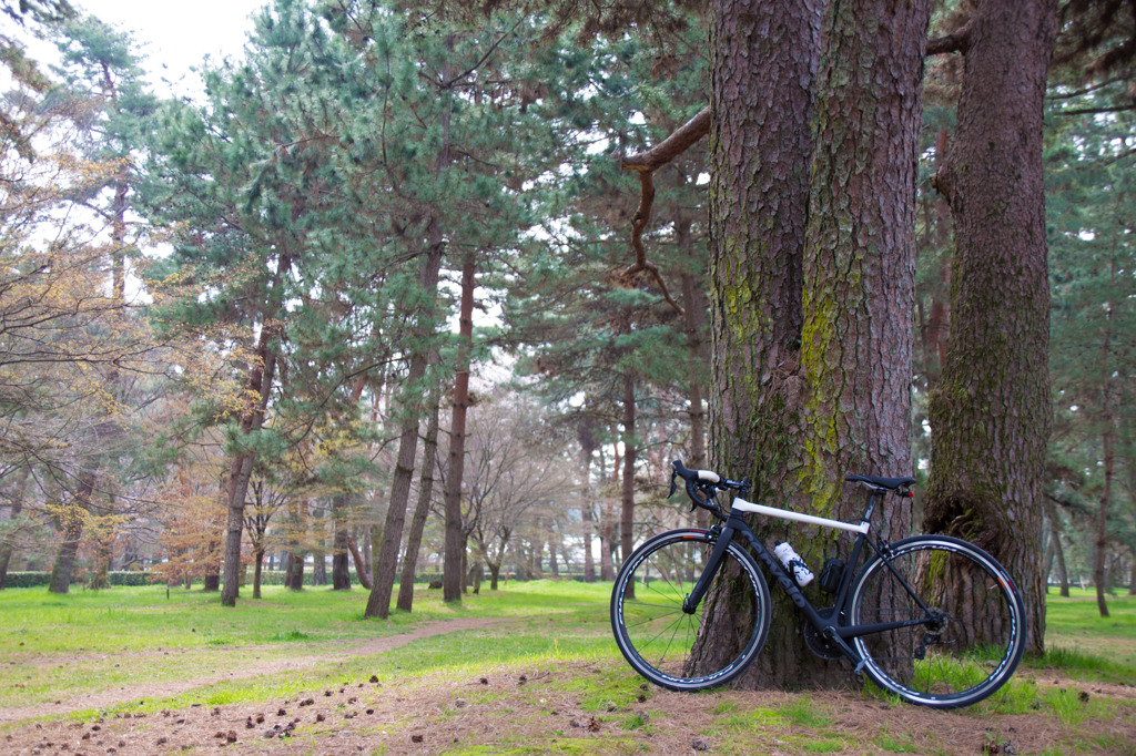 cervelo × 京都御所