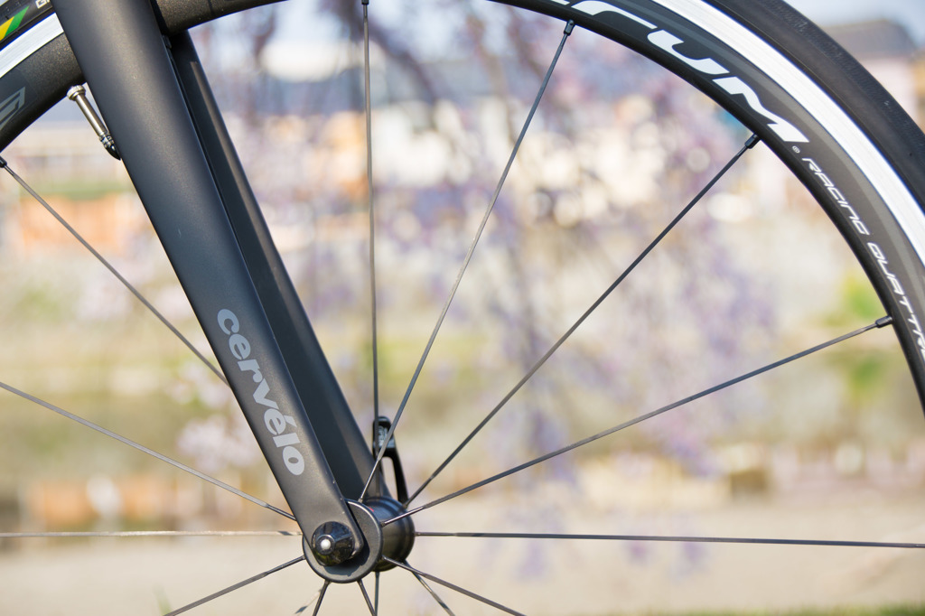 cervelo × 桜