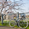 cervelo × 桜 × 京都タワー