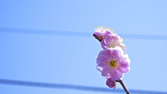 tumblr_mjcrxvmrEE1s7m2y8o1_1280