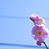 tumblr_mjcrxvmrEE1s7m2y8o1_1280