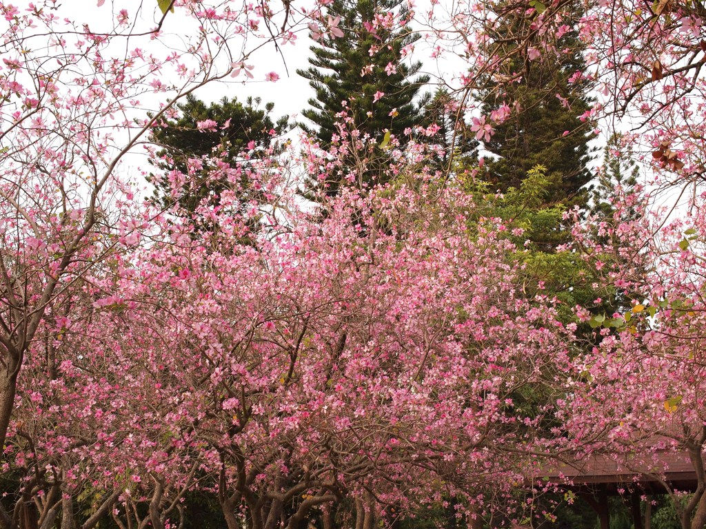 P3031622