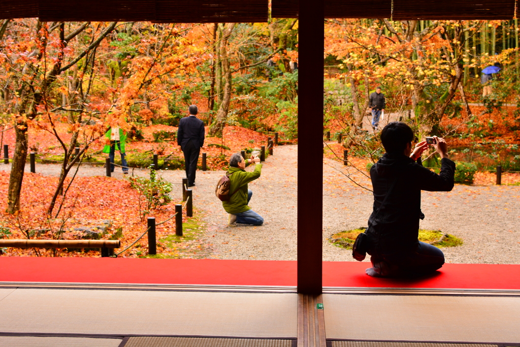 圓光寺