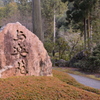 京都　三室戸寺