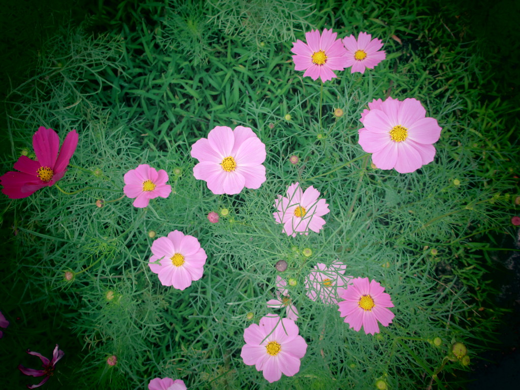 過去写真1