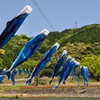 端午の節句