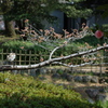 花と花