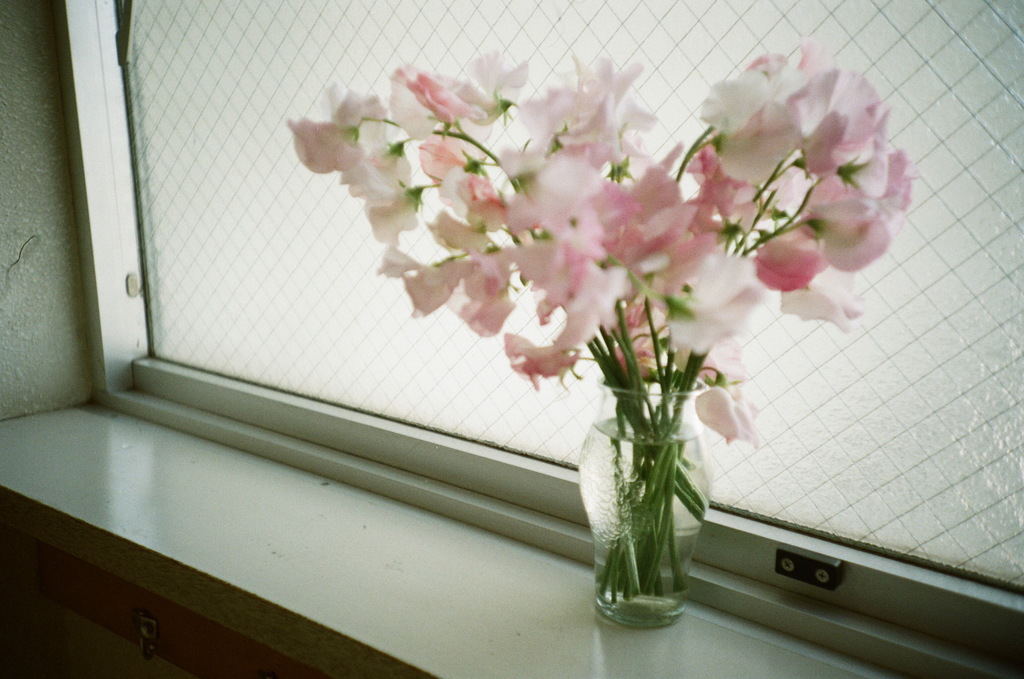 春、まだここに