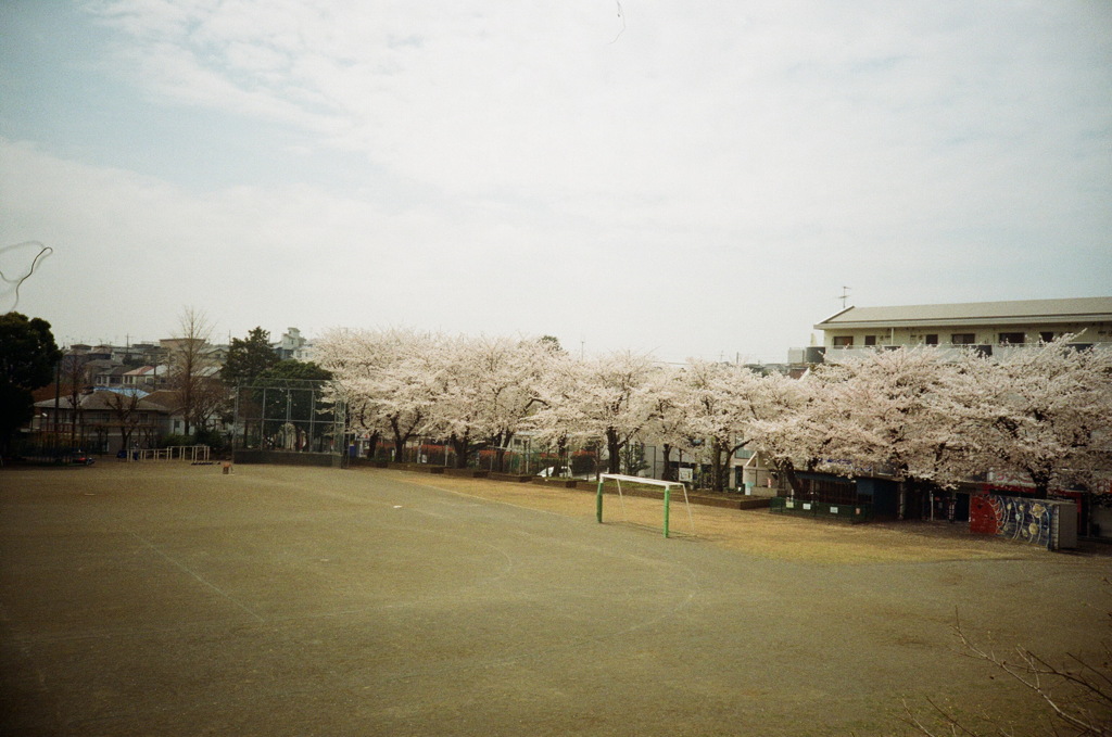 春休みの校庭
