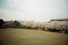 春休みの校庭