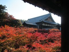 東福寺2024通天橋
