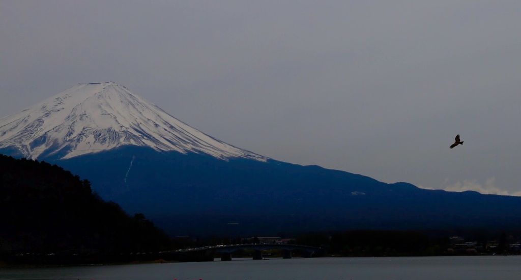 河口湖からの富士