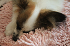 眠っちゃったone