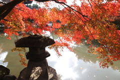 東寺2024石灯篭