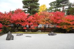 清凉寺2024石庭