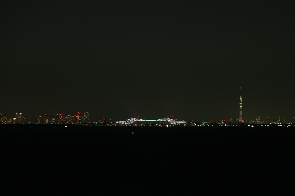 東京ゲートブリッジとスカイツリー