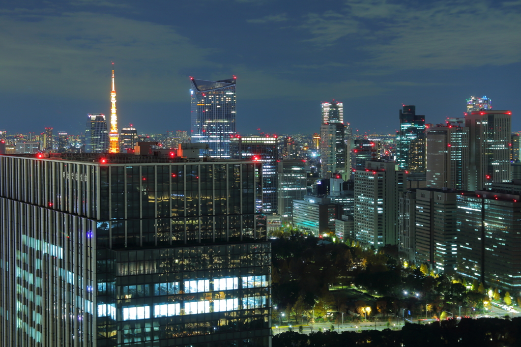 東京タワーの見えるとある風景