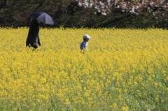 春うらら