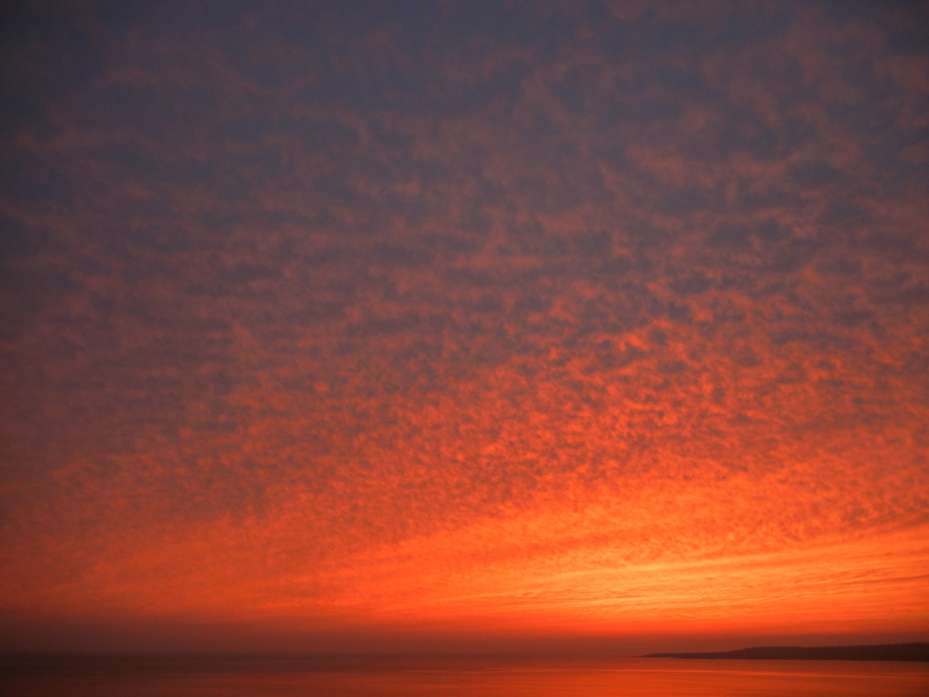 うろこ雲 in sunset