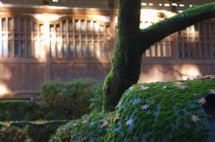 永平寺修行の旅④