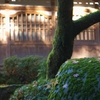 永平寺修行の旅④