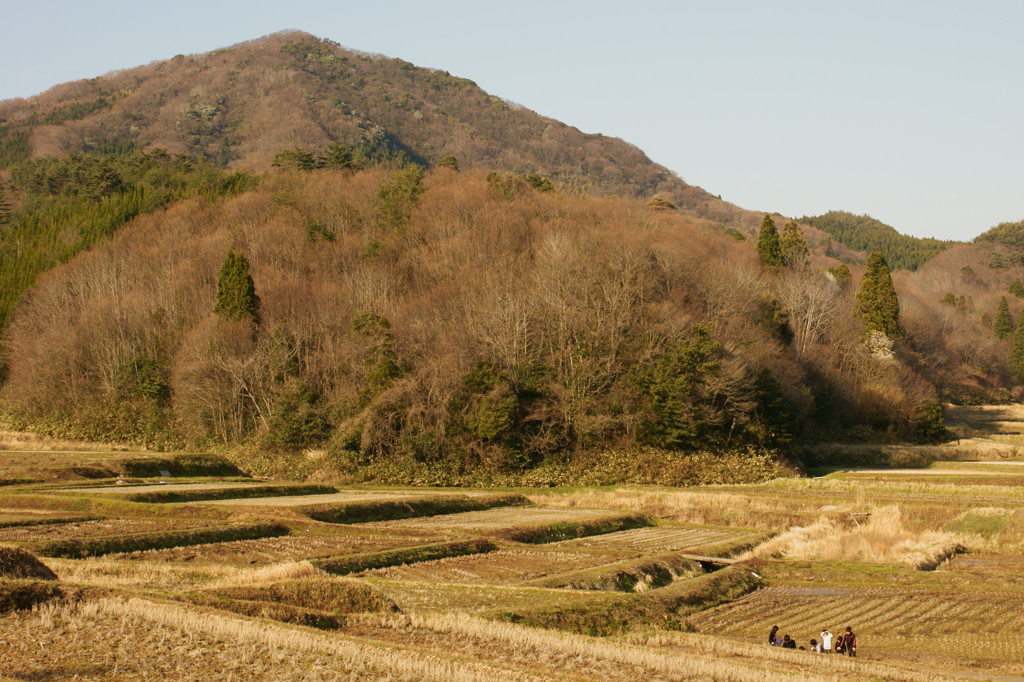 高爪山とゆかいな仲間たち