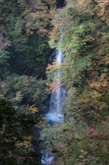 DSC04581