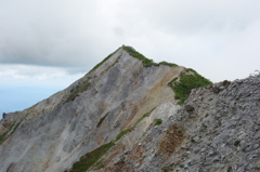 DSC02977 (1)